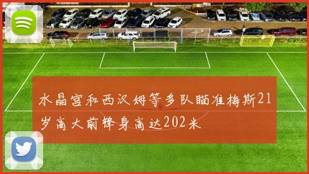 水晶宫和西汉姆等多队瞄准梅斯21岁高大前锋身高达202米